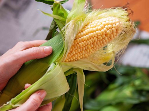 The Best Way To Shuck Corn in One Swift Move, According to a Corn Farmer