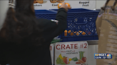 ‘Waste Hunger Not Food’ fights food insecurity with the help of schools