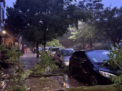 2 tornados touched down in Chicago on Sunday, one in west suburbs, NWS says