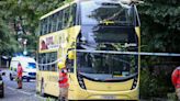 Tree branch smashes through window of double-decker bus