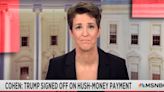 Rachel Maddow Gags On Air After Relaying Trump Story From Michael Cohen Testimony