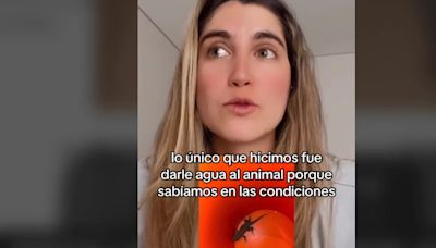 Una colombiana compra una freidora de aire y se encuentra un cocodrilo en la caja. “Le dimos agua”