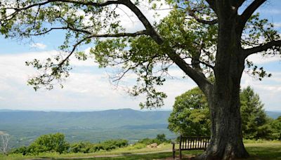 This Tiny Virginia Town Has New Tree House Suites and Scenic Mountain Hikes — and It's a Beautiful Autumn Getaway