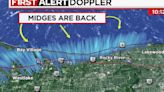 Midges seen on radar in return to Cleveland shoreline