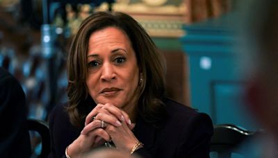 What has Kamala Harris accomplished as vice president? Here's a quick look.