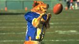 Parent Guide: Air Bud Golden Receiver