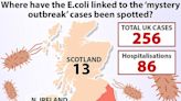 Experts warn UK e-coli outbreak is a 'serious public health concern'