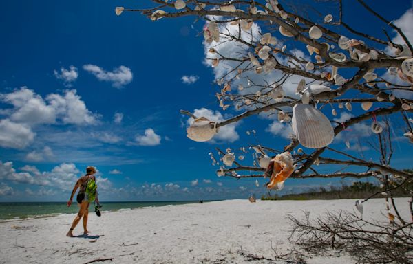 Collier County has some of the most beautiful beaches in the world. Here's a guide for summer