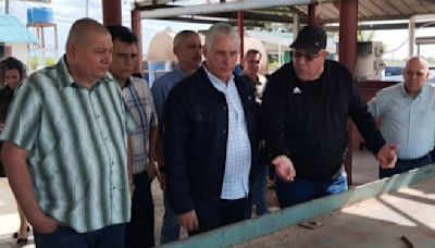 En Puerto Padre, borrachos amenazan y dicen: “Mi presidente Díaz-Canel”
