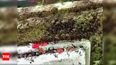 GNLU uses tobacco dust to repel millipedes | Ahmedabad News - Times of India