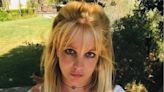 Britney Spears blasts fans as going ‘too far’ for sending police to her home