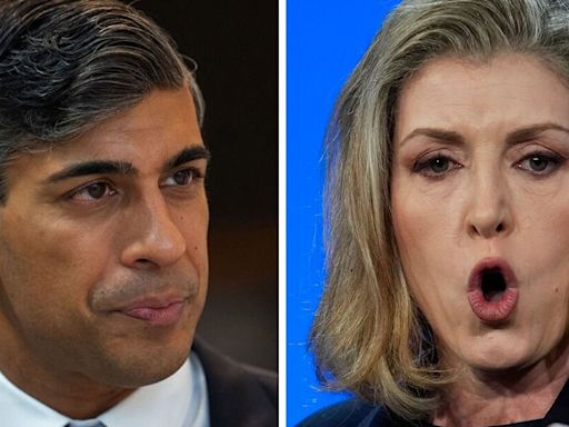 Penny Mordaunt urges Rishi Sunak to avoid one crucial mistake