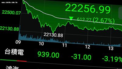 黑天鵝出現股匯雙殺 台股單日再跌逾600點