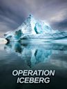 Operation Iceberg