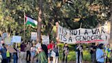 UF pro-Palestine demonstrations resume day after 9 arrested