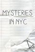 Mysteries in Nyc: An Interactive Series