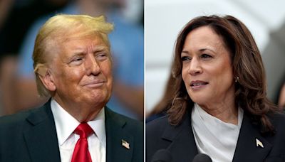 New poll shows Trump, Harris tied in key battleground state: 'Close as close can be'