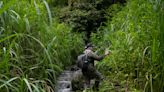 In Indonesia, women ranger teams go on patrol to slow deforestation