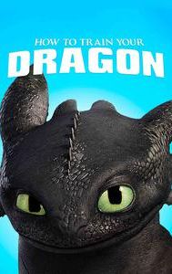 How to Train Your Dragon (2010 film)