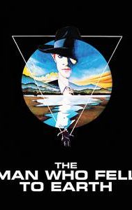 The Man Who Fell to Earth