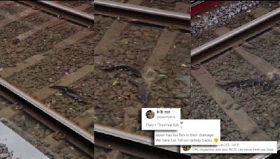Mumbai Rain: Viral Video Of Fishes Swimming In Train Tracks Sparks Hilarious Reactions Online