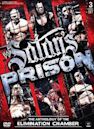 WWE: Satan's Prison - The Anthology of the Elimination Chamber