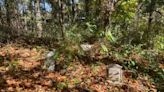 Historic, African American cemetery in Atlanta added to ‘Places in Peril’ list