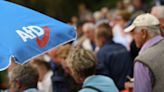 Germany's AfD calls immigrant members in court to dispel accusations of racism