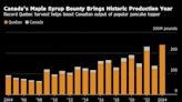 Record Maple Syrup Harvest Not Enough as Quebec Eyes Bigger Bounty