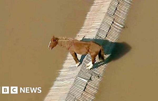 Horse stranded on rooftop and airport floods in Brazil