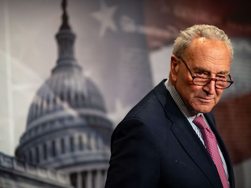 Schumer slams Project 2025 plans for VA: ‘Will not stand’