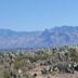 Mount Lemmon