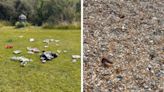 Shards of glass and rusty screws found on Sussex beaches