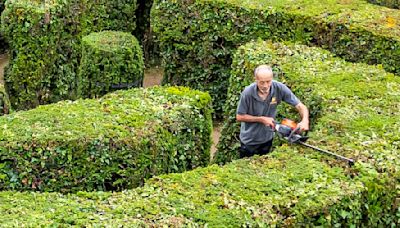 Gardeners have their work cut out trimming the world's biggest hedge