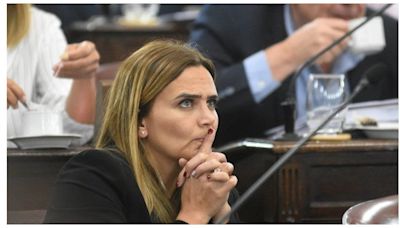 Amalia Granata sin piedad: Apuntes a la “doble vara” del gobierno de Milei