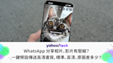 WhatsApp教學｜分享相片、影片有壓縮？一鍵預設傳送高清畫質，標準、高清、原圖差多少？