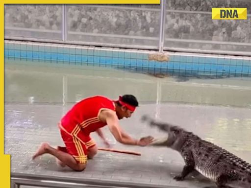 Crocodile stunt goes horribly wrong, man's close call caught on camera, watch video