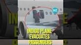 IndiGo Plane Evacuates Passengers At Delhi Airport Amidst Bomb Threat