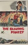 The Blazing Forest