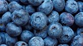 The reason that blueberries appear blue has been revealed