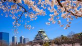 日本櫻花季加持 捷絲旅大阪心齋橋館搶手開幕