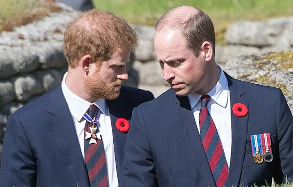 Prince William 'disgruntled' over Prince Harry's $8.5M inheritance payday on 40th birthday: expert