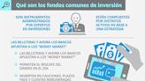 ¿Qué es un Fondo Común de Inversión?: por qué los argentinos los eligen cada vez más