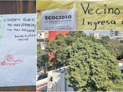 Vecinos celebrarán al árbol centenario de la Del Valle