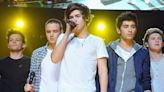 Which One Direction Member is The Most Popular? See Them All Ranked From Least to Most Followed on Instagram