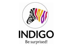 Indigo Paints