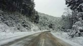 Rutas de Neuquén, nieve y temporada de invierno: no hay información sobre su estado tras los despedidos en Vialidad
