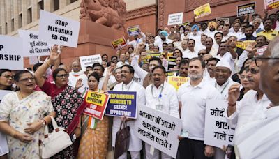 Stop 'misusing' agencies to silence Opposition: INDIA bloc MPs stage protest against govt.