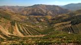 Why Every Wine Lover Needs to Visit Portugal’s Douro Valley