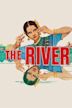 The River (1951 film)